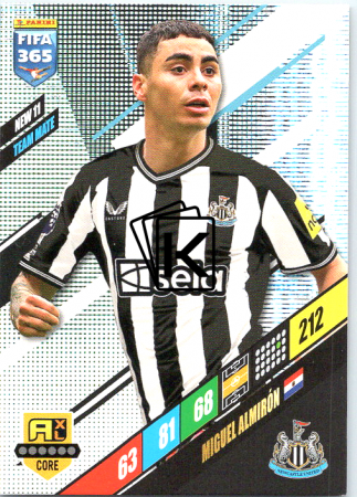 fotbalová karta Panini FIFA 365 2024 Adrenalyn NEW11	Miguel Almirón	Newcastle United