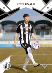 Fotbalová kartička 2024-25 SportZoo Chance Liga Serie 2 SK Dynamo České Budějovice 351 PETER PEKARÍK