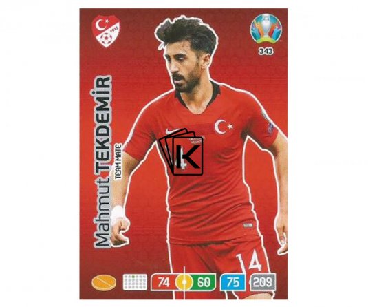 Panini Adrenalyn XL UEFA EURO 2020 Team mate 343 Mahmut Tekdemir Turkey