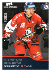 2019-20 Czech Ice Hockey Team  38 David Šťastný