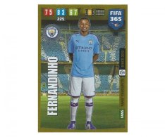 Fotbalová kartička Panini FIFA 365 – 2020 FANS FAVOURITE  48 Fernandinho