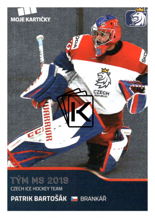 2019-20 Czech Ice Hockey Team  47 Patrik Bartošák