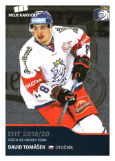 2019-20 Czech Ice Hockey Team  35 David Tomášek
