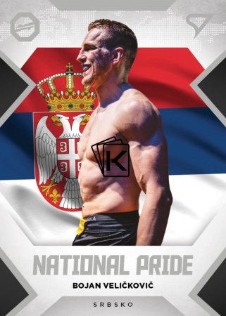 2022 Sprotzoo Oktagon MMA National Pride NP-31 Bojan Veličkovič