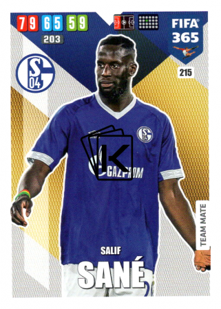 Fotbalová kartička Panini Adrenalyn XL FIFA 365 - 2020 Team Mate 215 Salif Sane Schalke 04