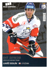 2019-20 Czech Ice Hockey Team  30 Lukáš Sedlák