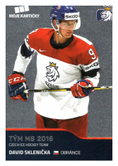 2019-20 Czech Ice Hockey Team  51 David Sklenička