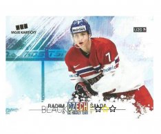 Hokejová kartička Czech Ice Hockey Team 53. Radim Šalda