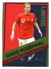 fotbalová kartička 2023 Pro Arena Repre Gold /10 David Rozehnal