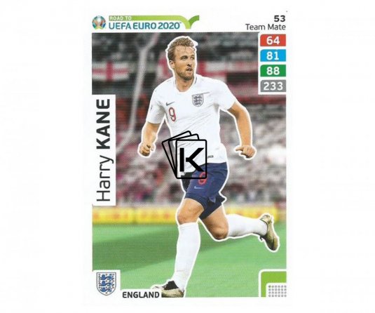 Fotbalová kartička Panini Road To Euro 2020 – Team Mate -Harry Kane - 53