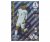Fotbalová kartička Panini Adrenalynl XL World Cup Russia 2018 Rising Star 421 Marcus Rashford