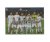 Fotbalová kartička Panini Road To Euro 2020 – Group Winners - Gruzie - UNL15