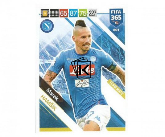 Fotbalová kartička Panini FIFA 365 – 2019 Team Mate 201 Marek Hamšík SSC Neapol