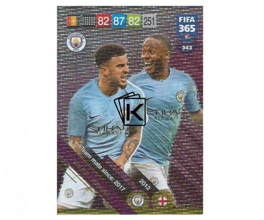 Fotbalová kartička Panini FIFA 365 – 2019 Club&Country 343 Manchester City Walker Sterling