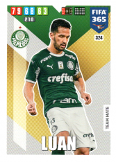 Fotbalová kartička Panini Adrenalyn XL FIFA 365 - 2020 Team Mate 324 Luan Palmeiras