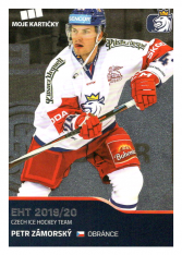 2019-20 Czech Ice Hockey Team  41 Petr Zámorský