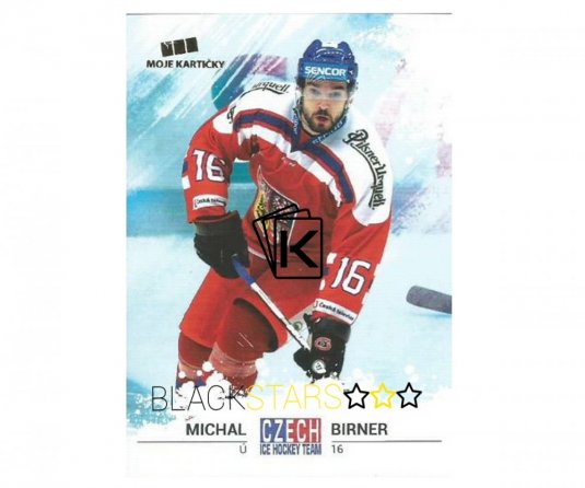 Hokejová kartička Czech Ice Hockey Team 4. Michal Birner