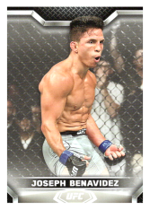 2020 Topps UFC Knockout 2 Joseph Benavidez - Flyweight