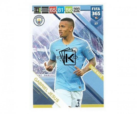 Fotbalová kartička Panini FIFA 365 – 2019 Team Mate 27 Gabriel Jesus Manchester City