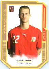 fotbalová kartička 2022 Pro Arena Repre v srdcích Match Portraits Gold MP5 David Rozehnal /5