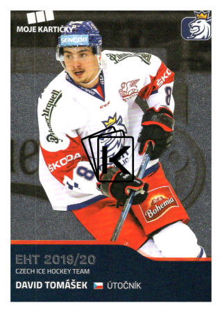 2019-20 Czech Ice Hockey Team  35 David Tomášek