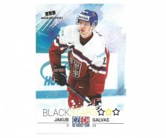 Hokejová kartička Czech Ice Hockey Team 9. Jakub Galvas