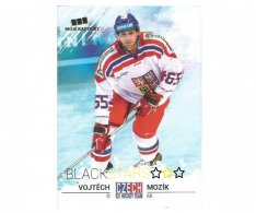 Hokejová kartička Czech Ice Hockey Team 27.  Vojtěch Mozík