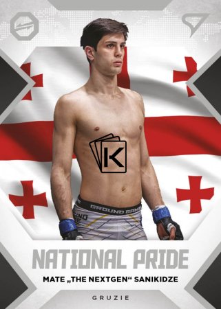 2022 Sprotzoo Oktagon MMA National Pride NP-12 Mate Sanikidze