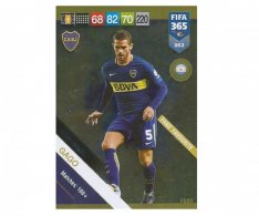 Fotbalová kartička Panini FIFA 365 – 2019 Fans 263 Fernando Gago Boca Juniors
