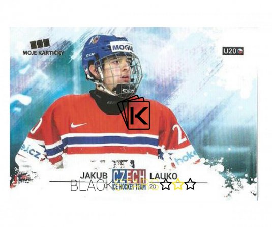 Hokejová kartička Czech Ice Hockey Team 50. Jakub Lauko