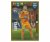 Fotbalová kartička Panini FIFA 365 – 2020 FANS FAVOURITE 137 Anthony Lopes