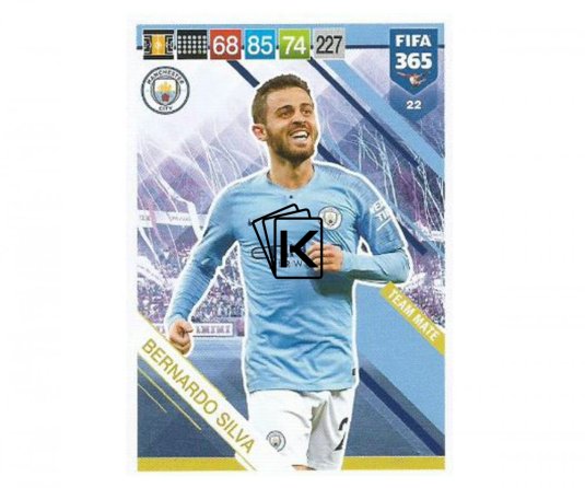 Fotbalová kartička Panini FIFA 365 – 2019 Team Mate 22 Bernardo Silva Manchester City