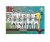 Panini Adrenalyn XL UEFA EURO 2020 Play-off Team 454 Georgia