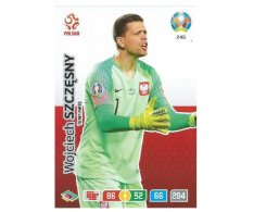 Panini Adrenalyn XL UEFA EURO 2020 Team mate 246 Lukasz Fabianski Poland