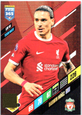 fotbalová karta Panini FIFA 365 2024 Adrenalyn LIV18 Darwin Nuñez Liverpool Team Mate