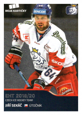 2019-20 Czech Ice Hockey Team  31 Jiří Sekáč