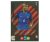 Fotbalová kartička Panini Adrenalynl XL World Cup Russia 2018 Limited Edition Paul Pogba