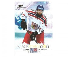 Hokejová kartička Czech Ice Hockey Team 31. Adam Polášek