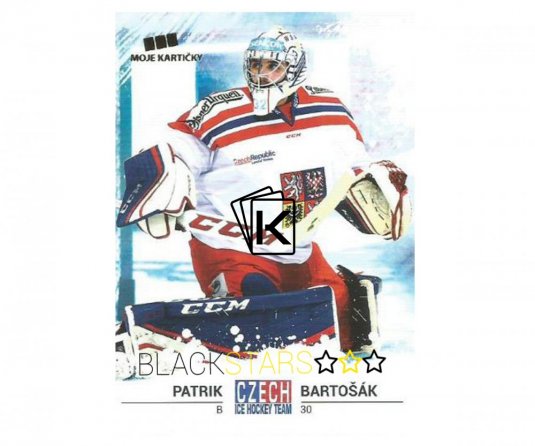 Hokejová kartička Czech Ice Hockey Team 3. Patrik Bartošák