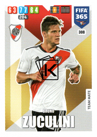 Fotbalová kartička Panini Adrenalyn XL FIFA 365 - 2020 Team Mate 308 Bruno Zuculini River Plate