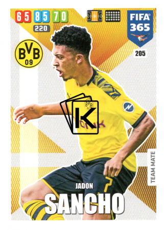 Fotbalová kartička Panini Adrenalyn XL FIFA 365 - 2020 Team Mate 205 Jadon Sancho Borussia Dortmund