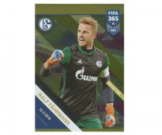 Fotbalová kartička Panini FIFA 365 – 2019 Fans 141 Ralf Fahrmann Schalke 04