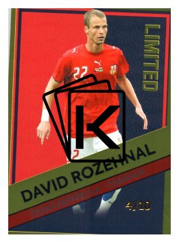 fotbalová kartička 2023 Pro Arena Repre Gold /10 David Rozehnal