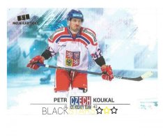 Hokejová kartička Czech Ice Hockey Team 19. Petr Koukal