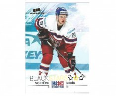 Hokejová kartička Czech Ice Hockey Team 38. Vojtěch Budík
