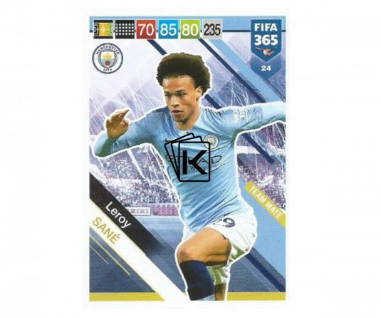 Fotbalová kartička Panini FIFA 365 – 2019 Team Mate 24 Leroy Sane Manchester City