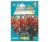 Panini Adrenalyn XL UEFA EURO 2020 Magic Moment 13 Austria