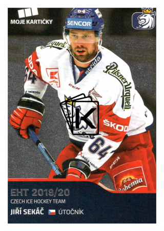 2019-20 Czech Ice Hockey Team  31 Jiří Sekáč