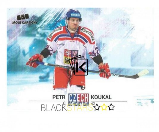 Hokejová kartička Czech Ice Hockey Team 19. Petr Koukal