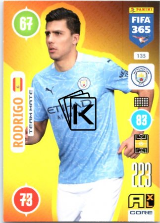 fotbalová karta Panini Adrenalyn XL FIFA 365 2021 Team Mate 135 Rodrigo Manchester City
